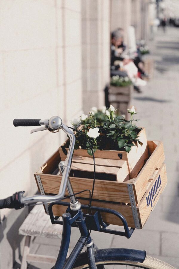 Vintage bike with crate and plants on city street.