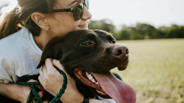 Person hugging their dog on walk in sunny field.